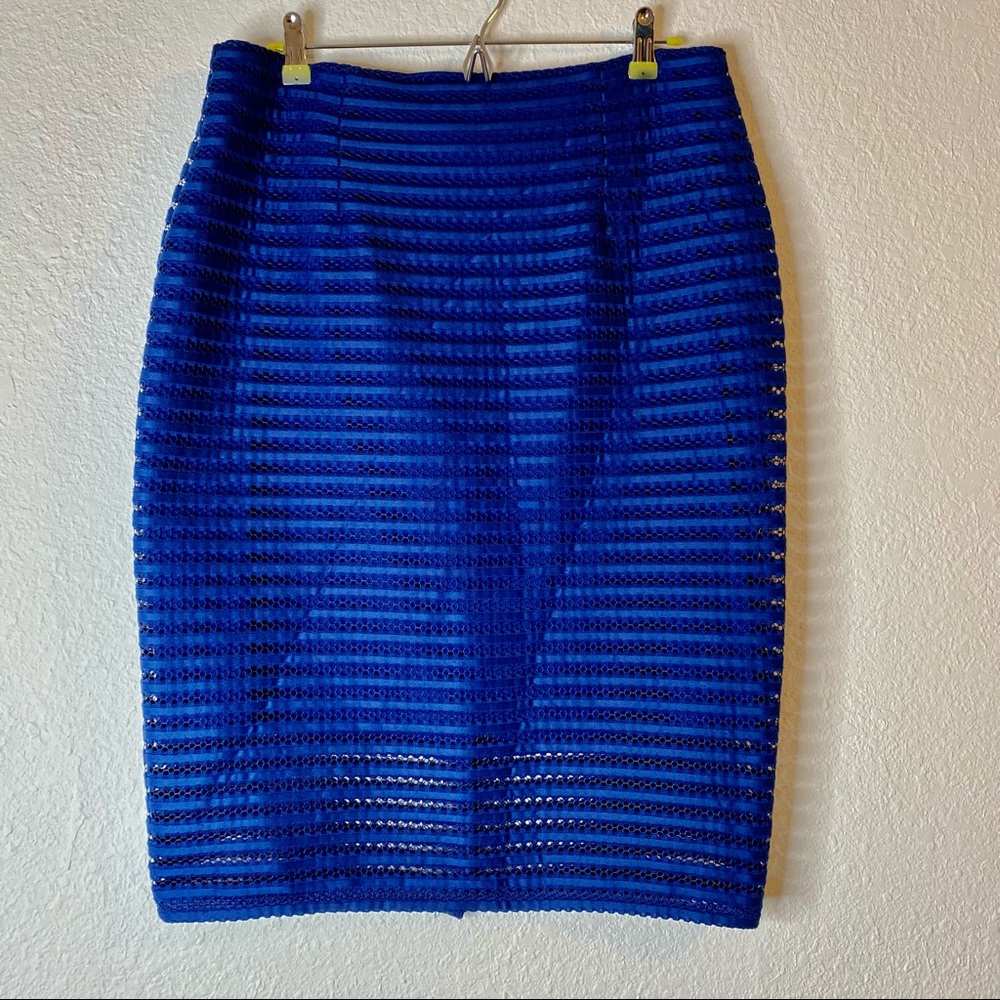 New York & Company Royal Mesh-Stripe Pencil Skirt - Picture 2 of 9